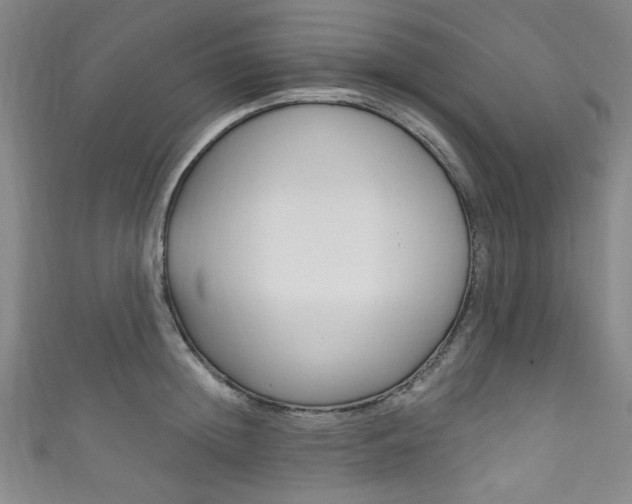 X0000111830852200907231021