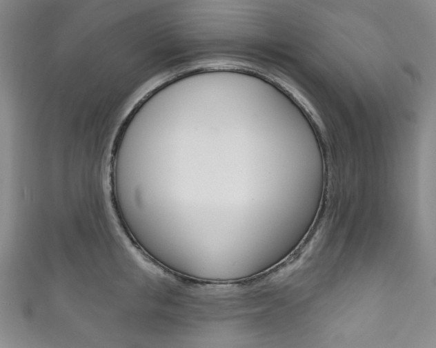 X0000111830853200907231021
