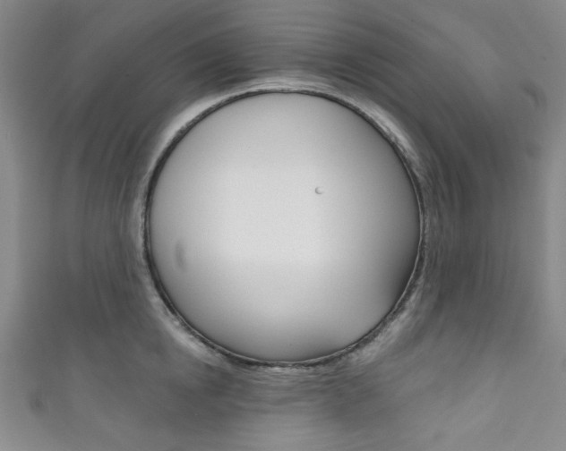 X0000111830854200907231021