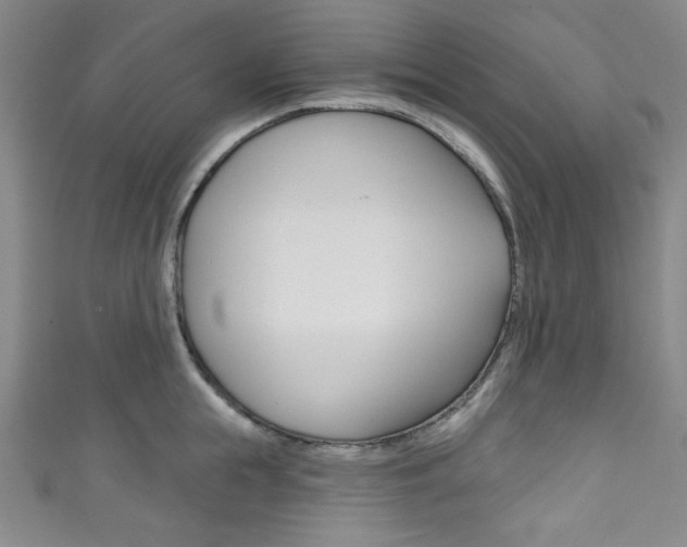 X0000111830855200907231021