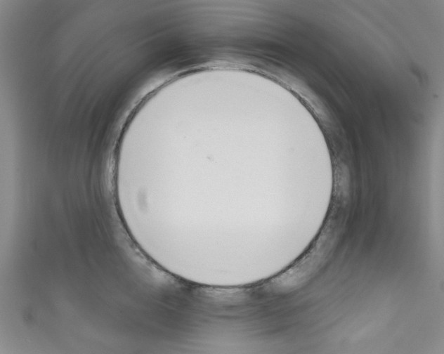 X0000111830856200907231021