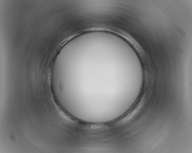 X0000111830857200907231021