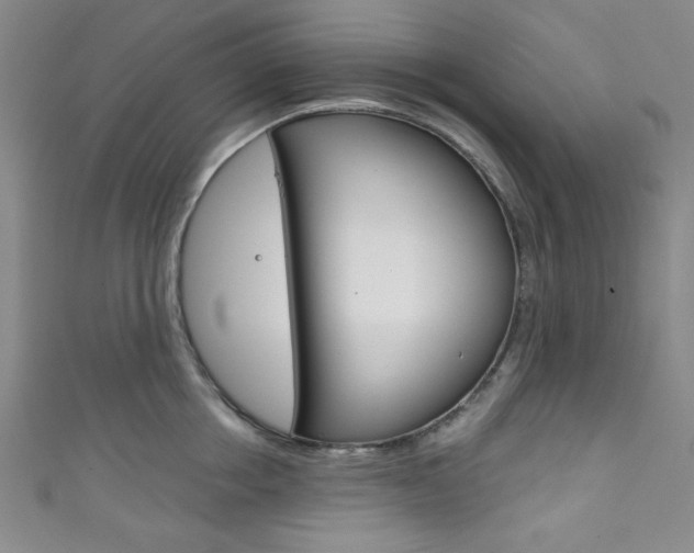 X0000111830858200907231021