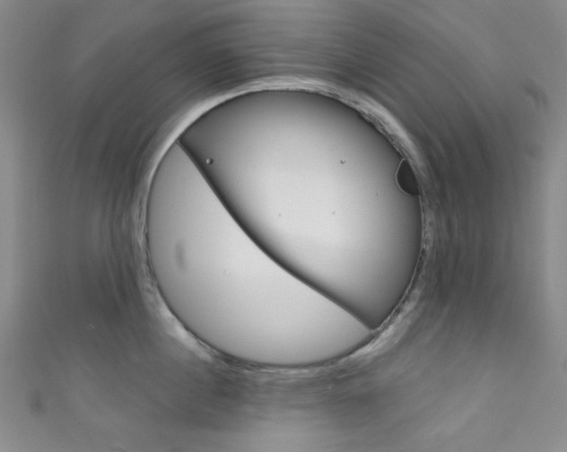 X0000111830860200907231021