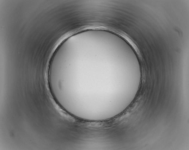 X0000111830861200907231021
