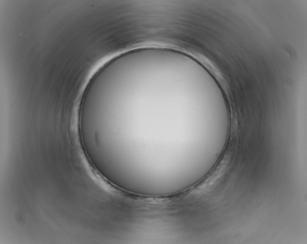 X0000111830862200907231021