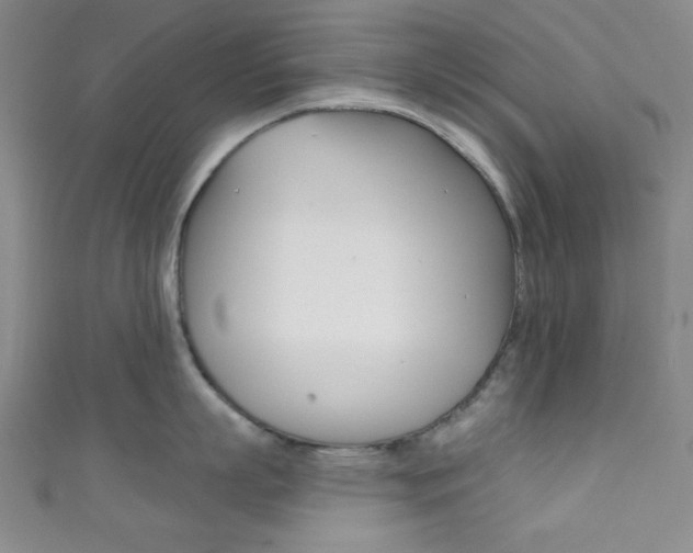 X0000111830863200907231021
