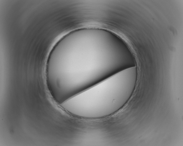 X0000111830864200907231021