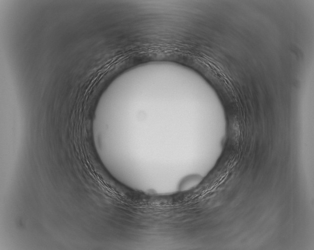 X0000111830865200907231020