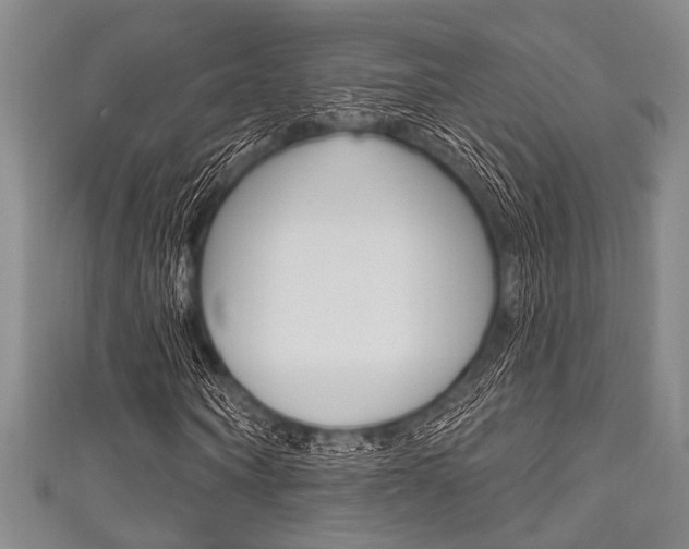 X0000111830866200907231020