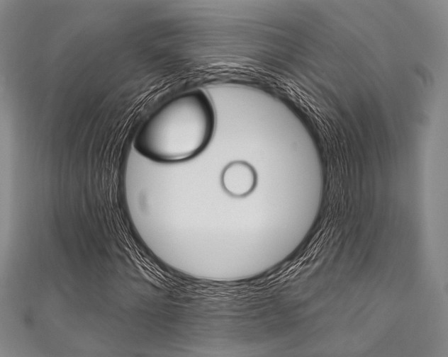 X0000111830868200907231020