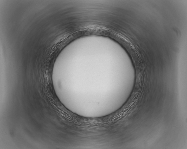 X0000111830869200907231020