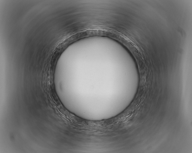 X0000111830870200907231020