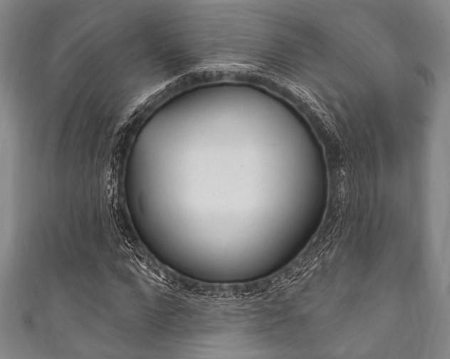 X0000111830872200907231020