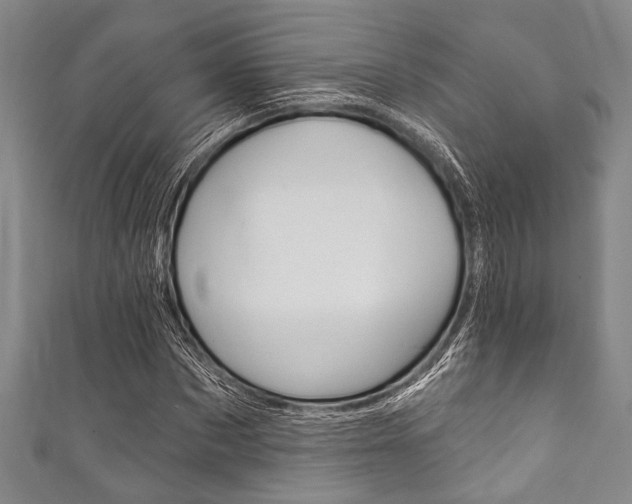 X0000111830873200907231020