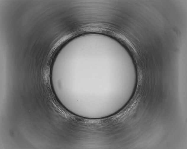 X0000111830874200907231020
