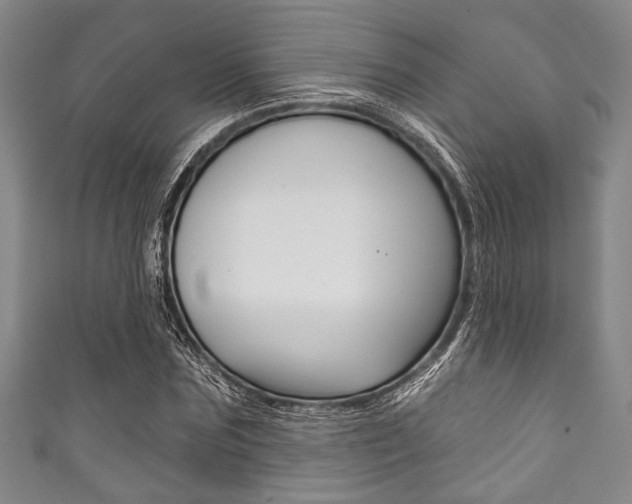 X0000111830875200907231020