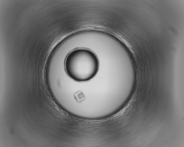 X0000111830877200907231020