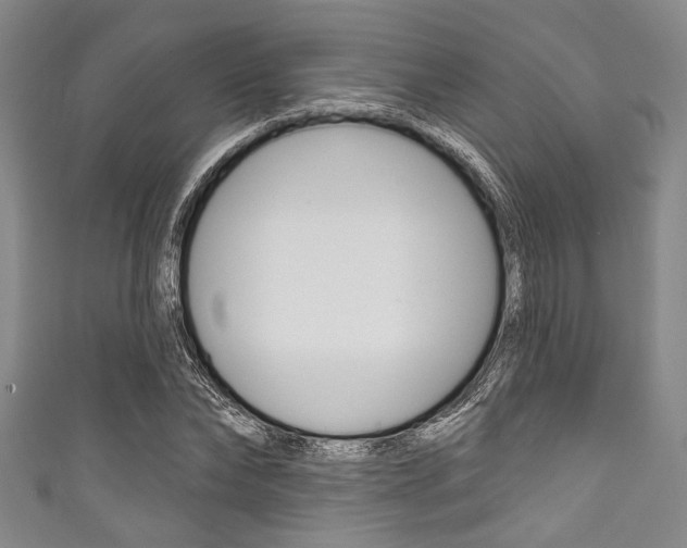 X0000111830878200907231020