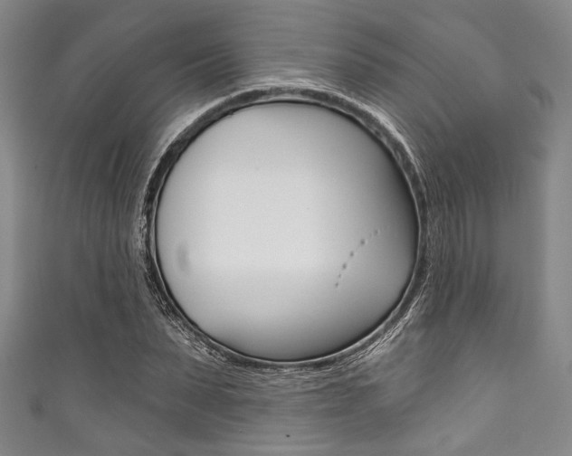 X0000111830879200907231020