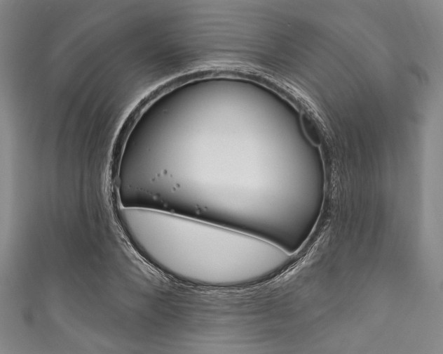 X0000111830880200907231020