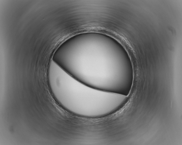 X0000111830881200907231020