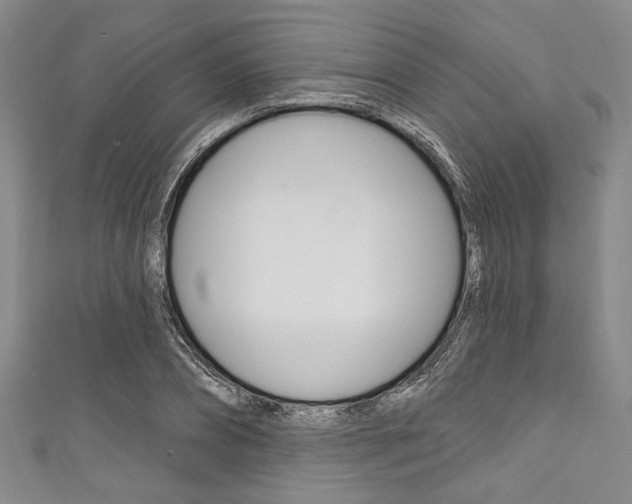 X0000111830882200907231020