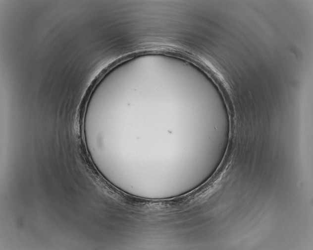 X0000111830883200907231020
