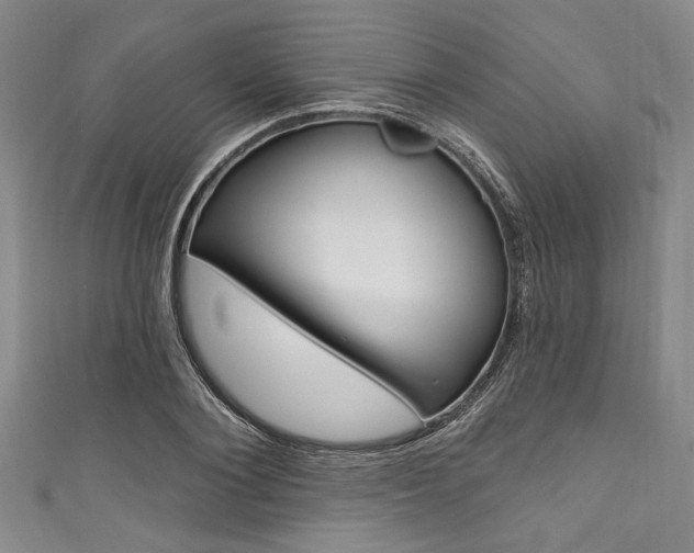 X0000111830884200907231020