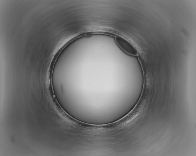 X0000111830885200907231020