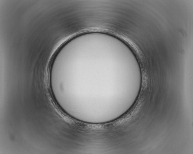 X0000111830886200907231020