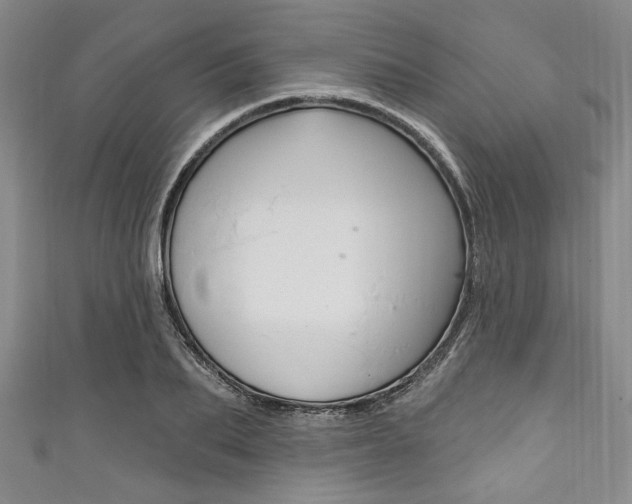 X0000111830887200907231020
