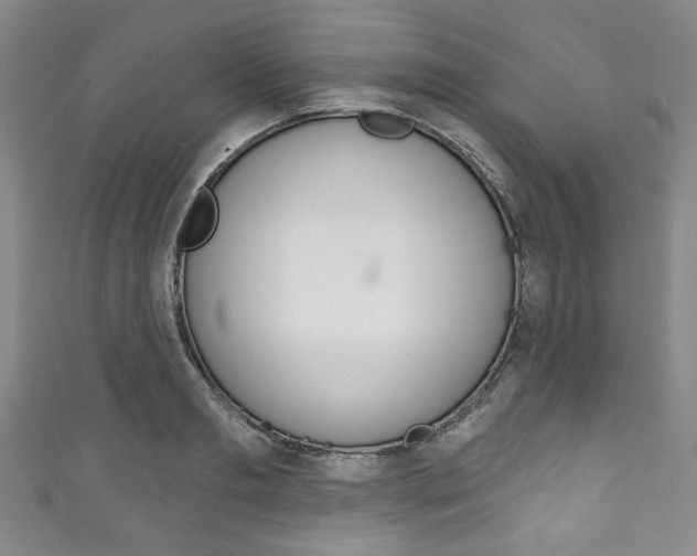 X0000111830893200907231020