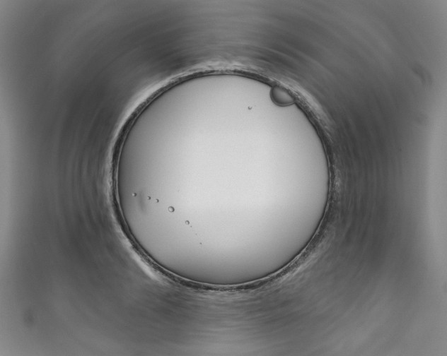 X0000111830894200907231020