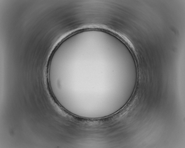 X0000111830895200907231020