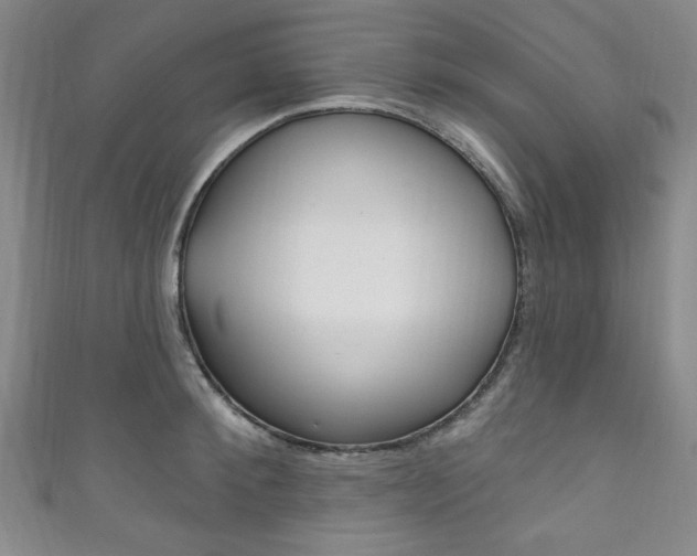 X0000111830900200907231020