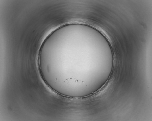 X0000111830901200907231020