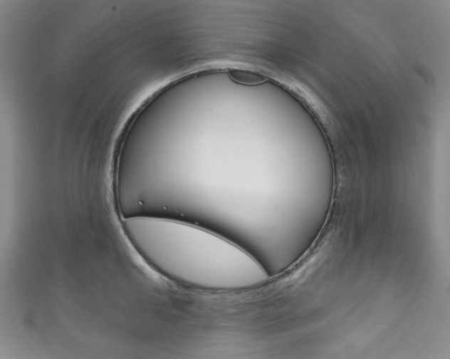 X0000111830902200907231020
