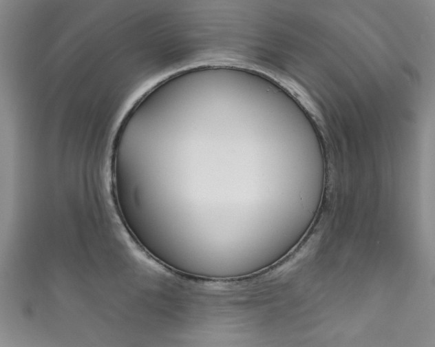 X0000111830904200907231020