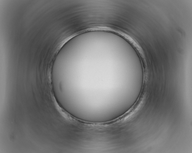 X0000111830905200907231020