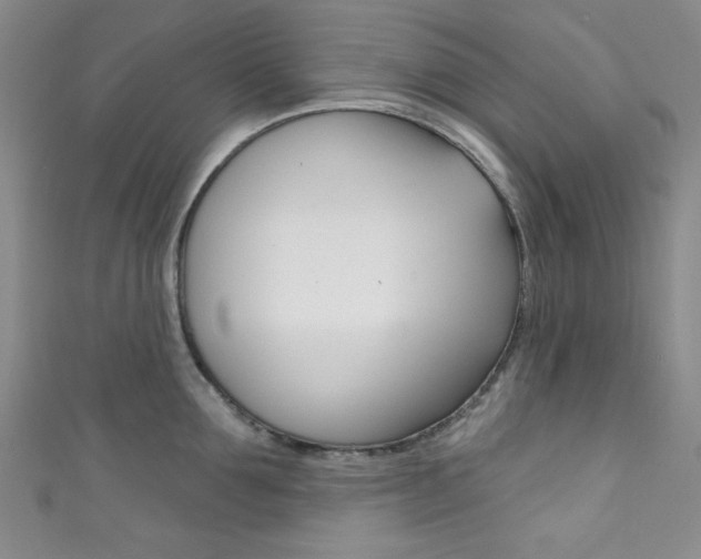 X0000111830907200907231019