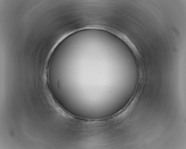 X0000111830908200907231019