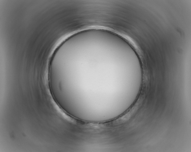 X0000111830910200907231019