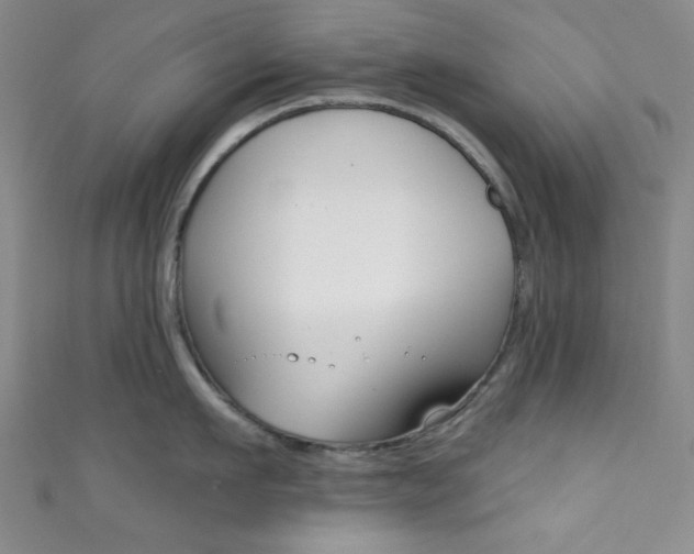 X0000111830911200907231019