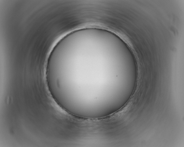 X0000111830912200907231019