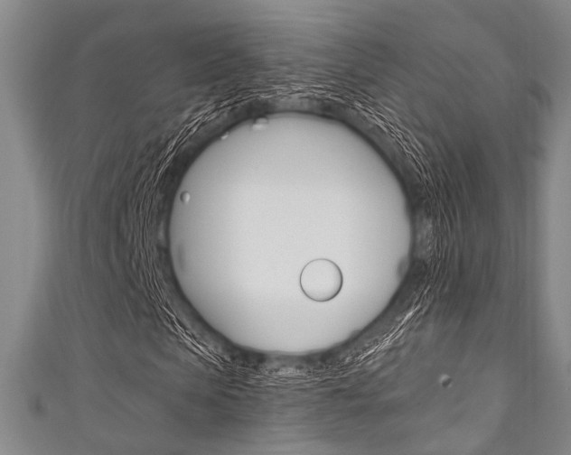 X0000111830913200907231019