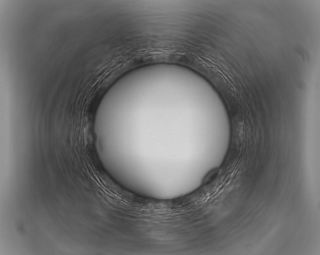 X0000111830914200907231019