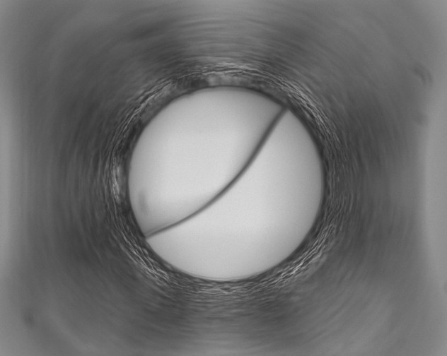 X0000111830915200907231019