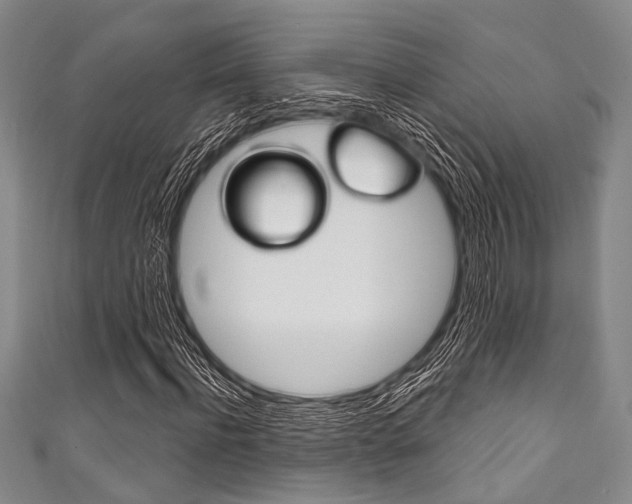 X0000111830916200907231019