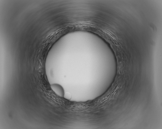 X0000111830917200907231019